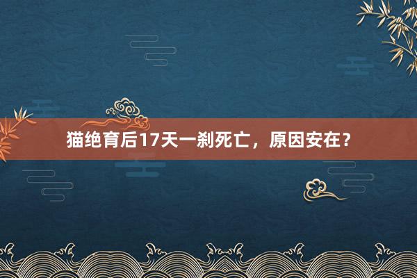 猫绝育后17天一刹死亡,原因安在?