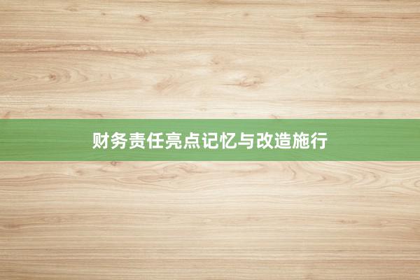 财务责任亮点记忆与改造施行
