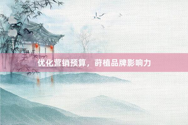 优化营销预算，莳植品牌影响力